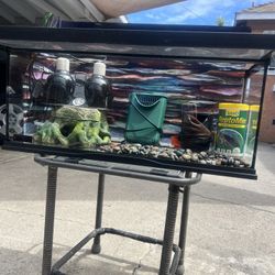 Glass Aquarium Tank With Everything You Need