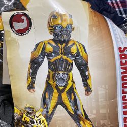 Bumblebee Transformers
