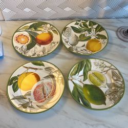 Williams Sonoma plates