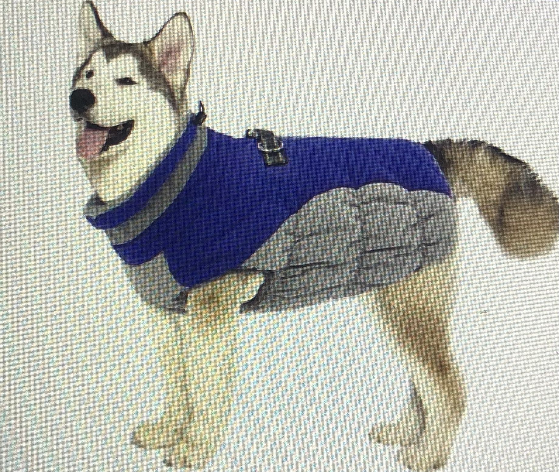 Dog Jacket 