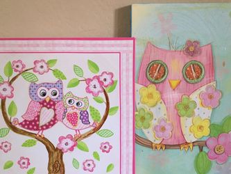 Decorative Owl Pictures