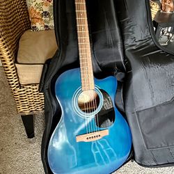 Guitar & Wolfpack Case