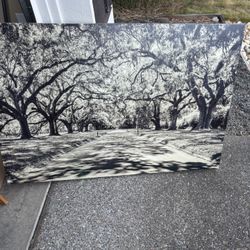 Large Wall Art