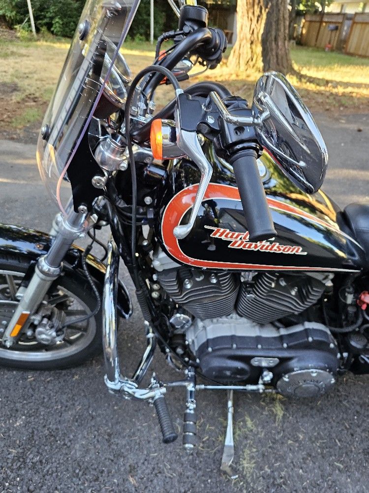 2005 Harley Davidson Roadster Custom