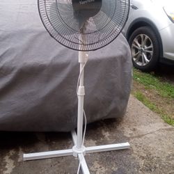 Fan