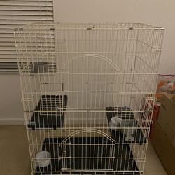 Bird Cage