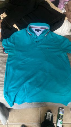 Polo Tommy