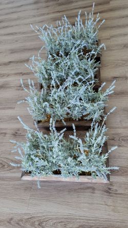 Artificial plants