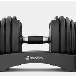 BowFlex Dumbbells