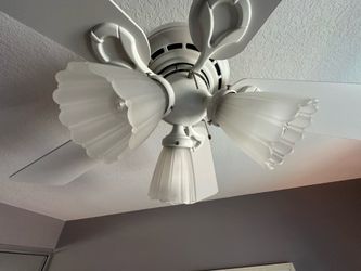 Ceiling fan