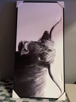 47" x 24" Highland Cow Framed Canvas - Threshold