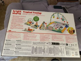 Bright starts tropical treetop