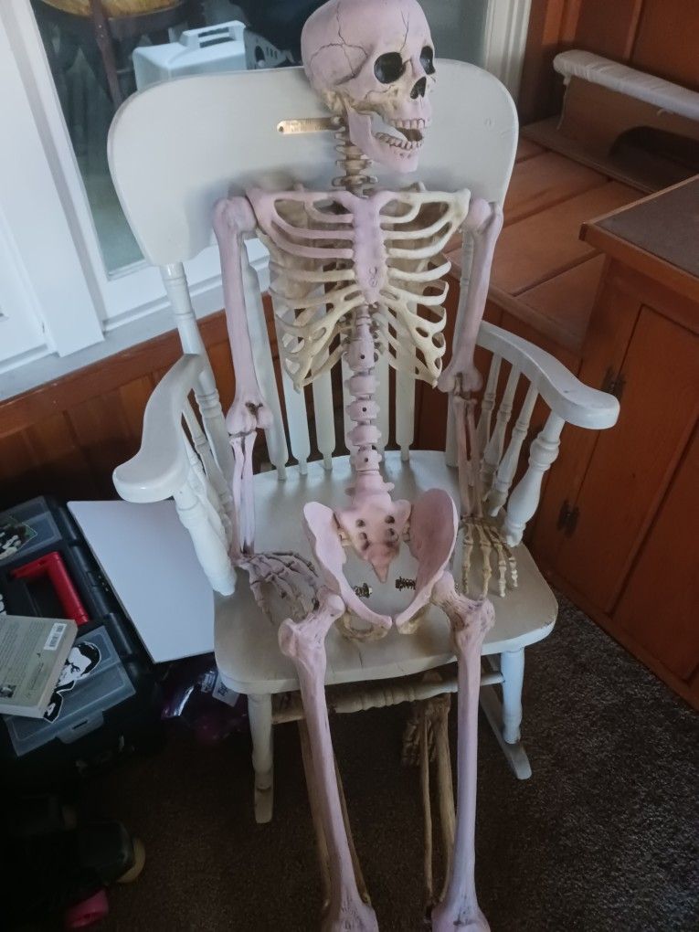 Halloween Decorations Life Size Skeleton Good Quality