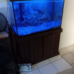 Large Ladder For Above  Ground Pool