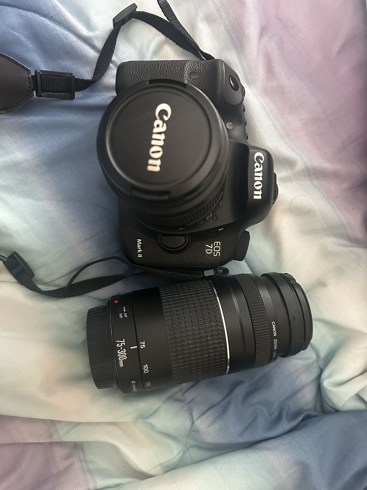 Canon Eos 7d Mark Ii