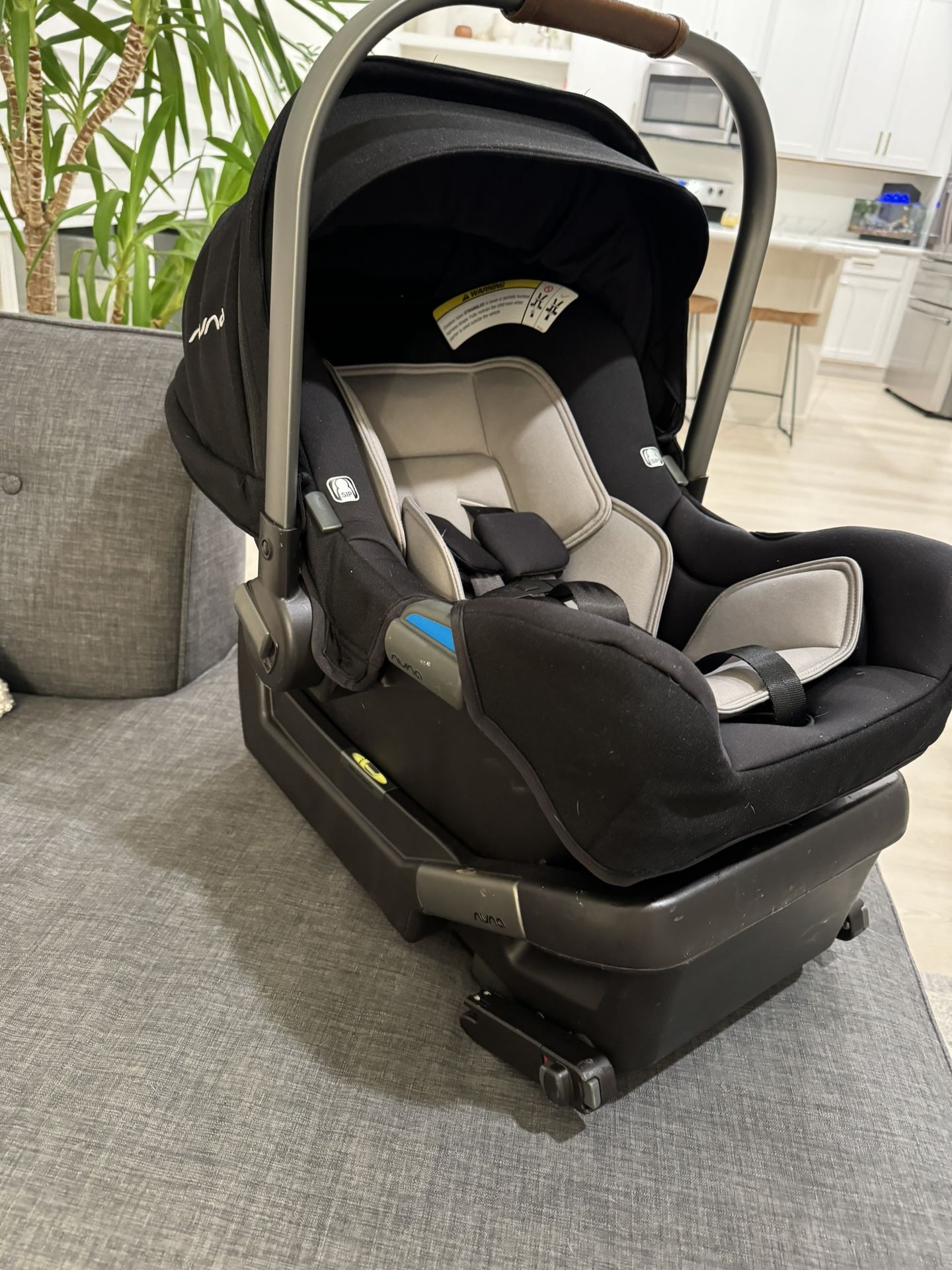  PIPA Flame Retardant Free Car Seat & Base Nuna