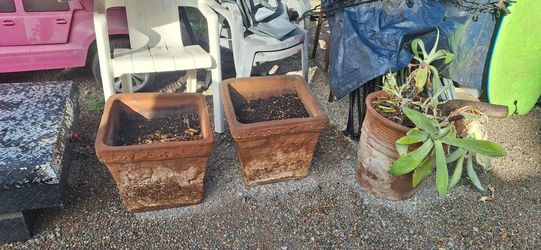 Outdoor Terra Cotta Pots