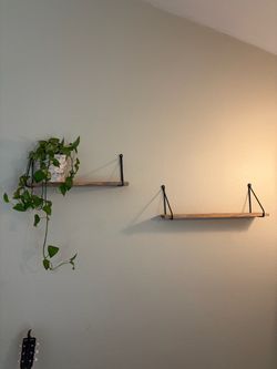Wall Shelves
