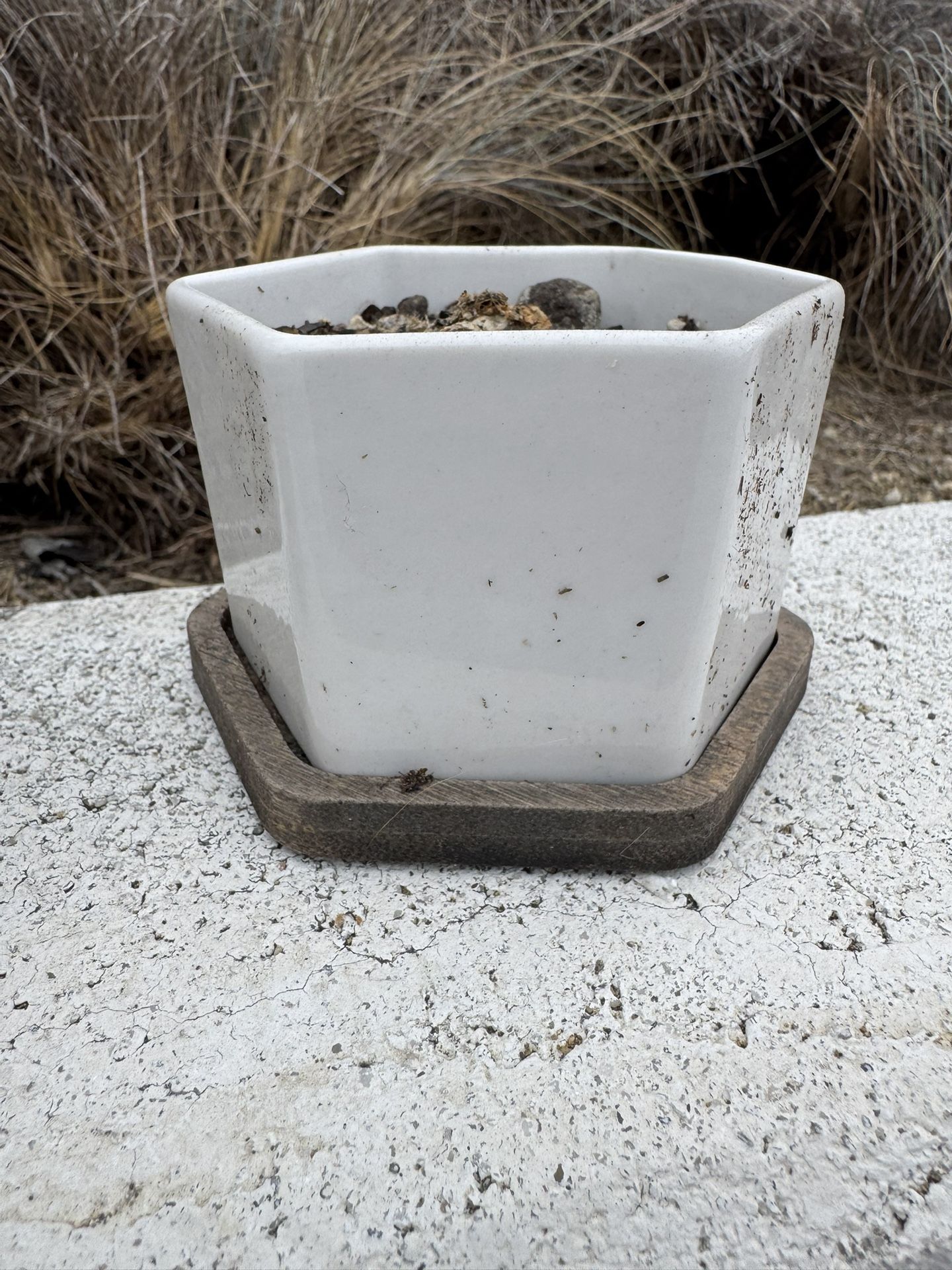 10 Pots For Your Plants