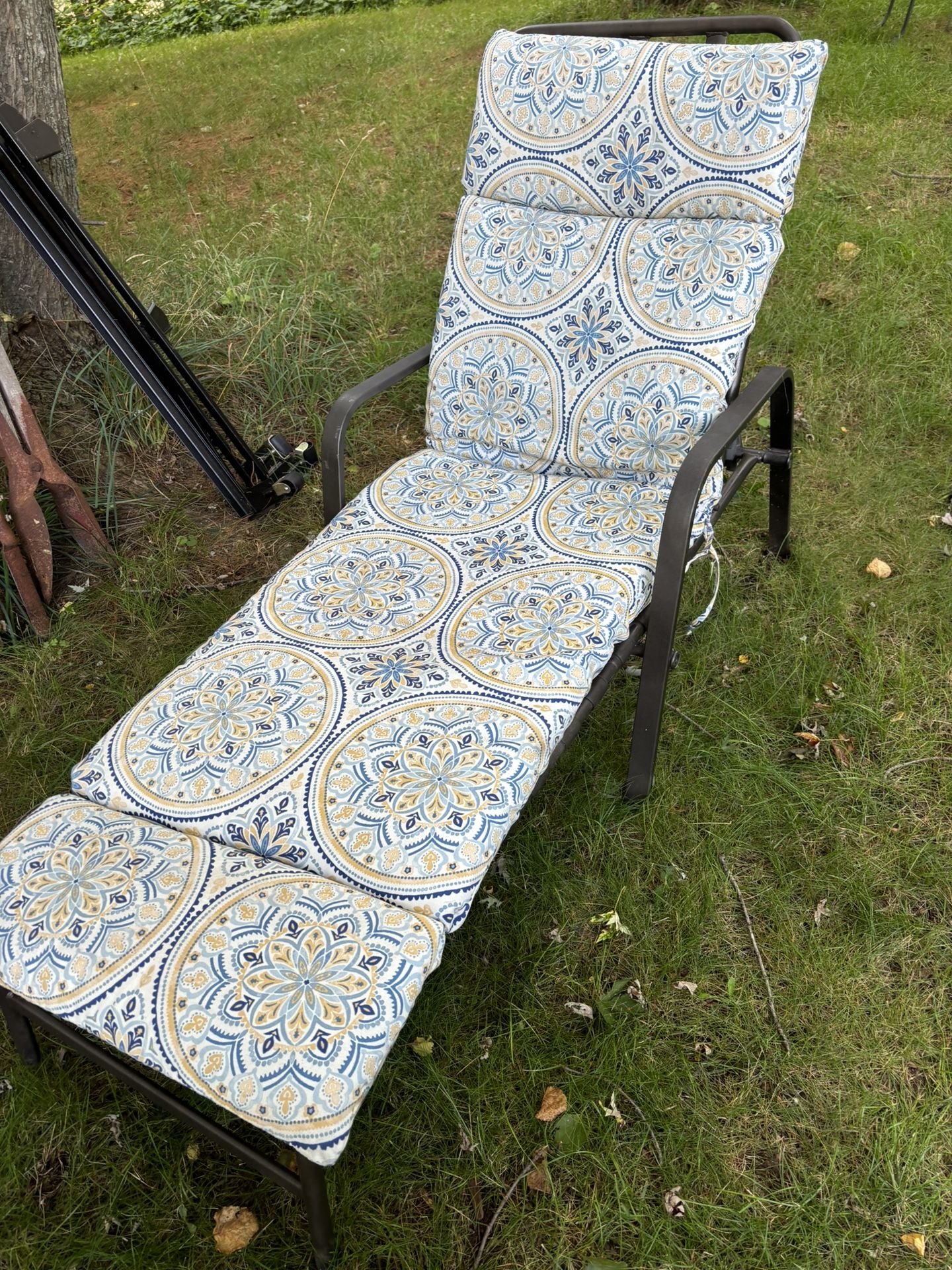 Patio Lounge Chair With Cushion 25$ Holly Area