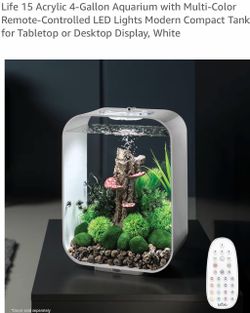 Fish tank