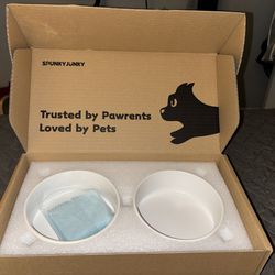 SPUNKYJUNKY Ceramic Dog and Cat Bowl with Stand Non-Slip Matte Glaze