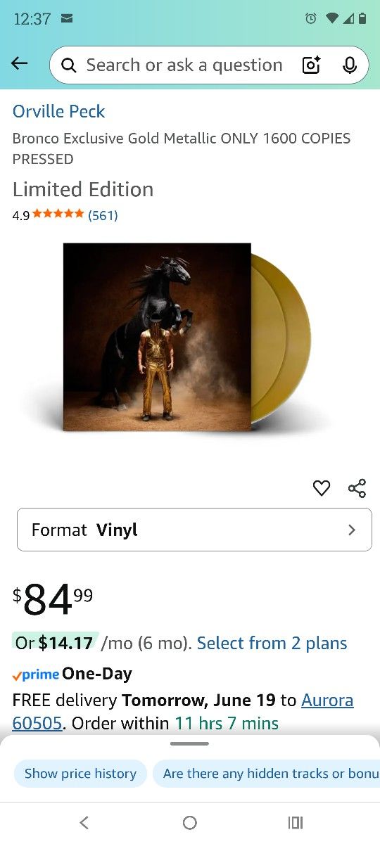 Orville Peck Vinyl
Bronco Exclusive Gold Metallic ONLY 1600 COPIES PRESSED
Limited Edition