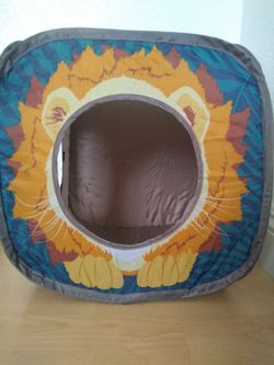 Cat play cube