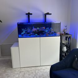 Complete Aquarium System