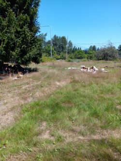 3.3 Acres Ready To Subdivide And Build