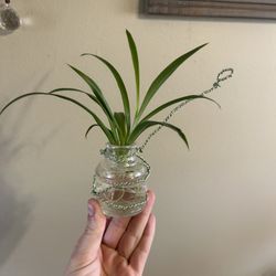 Propagation Stations 