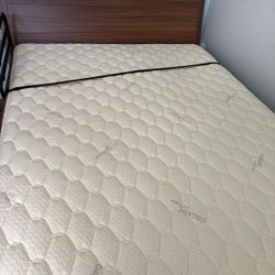 Queen Mattress Only