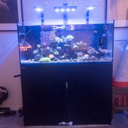 RedSea Reefer 350