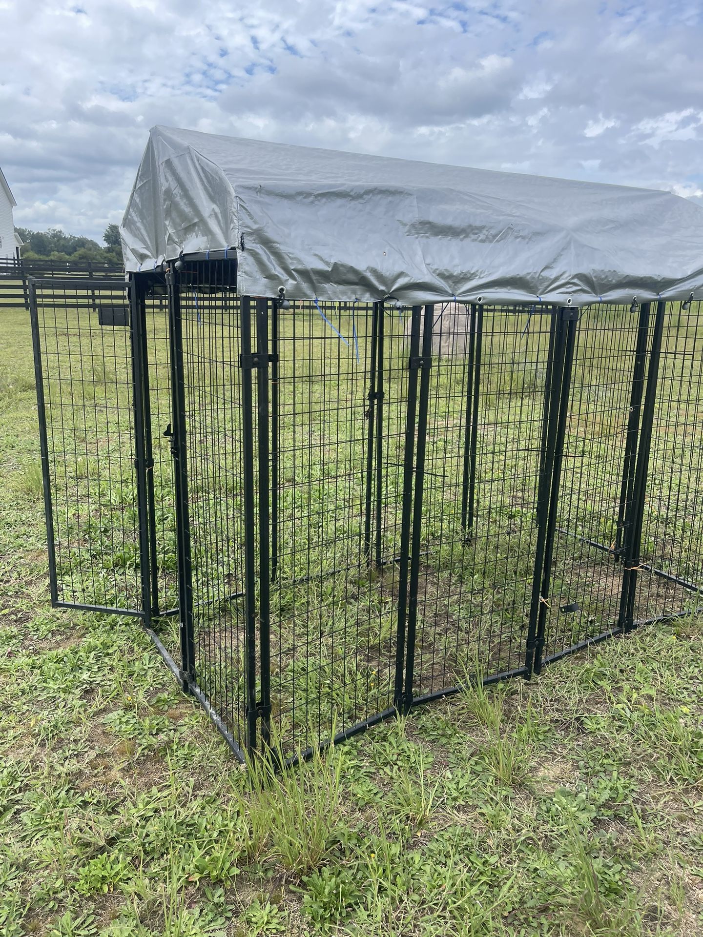 dog kennel