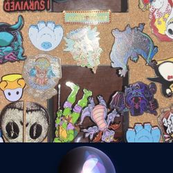 Splash Mountain Disney Pins And More Vintage Everything In Picture Displayed  