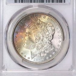 1887 Morgan Dollar Toned