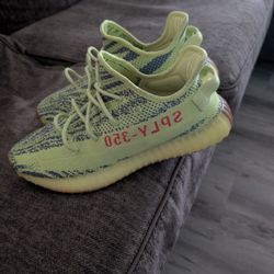 Yeezy 350 Size 10