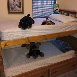 Bunks Beds with Storage Drawers, Bookshelves, Mattresses & Bunkie Boards