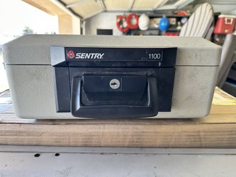Small Fire Safe Sentry 1100