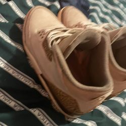 Palomino Jordan 3
