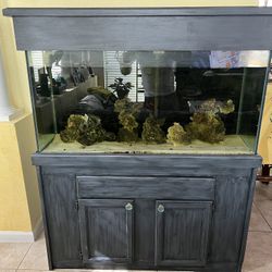 90 Gallon Reef Tank Aquarium Fish Tank / Pecera Aqua Salada