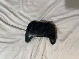 Nintendo Pro Controller
