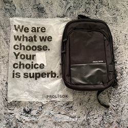 Back Pack /Computer Bag. By Prolysok