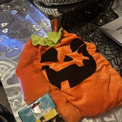 Pumpkin Costume For Small Dog With Socks 