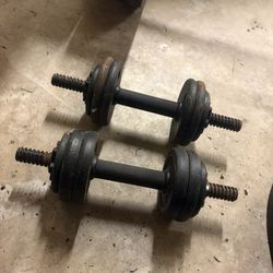 40 Lbs Dumbells