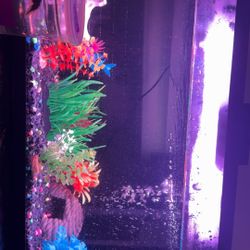 FISH TANK (with Fish)