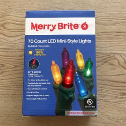Individual Strands Multi-colored LED Lights