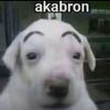 Brian 