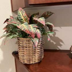 Artificial Plant