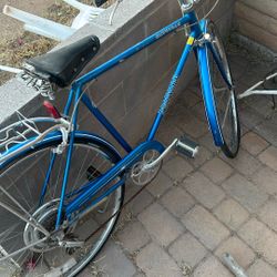 Schwinn Suburban Vintage Bike